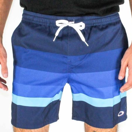 Oakley Foggy Blue Bismark Boardshorts Front